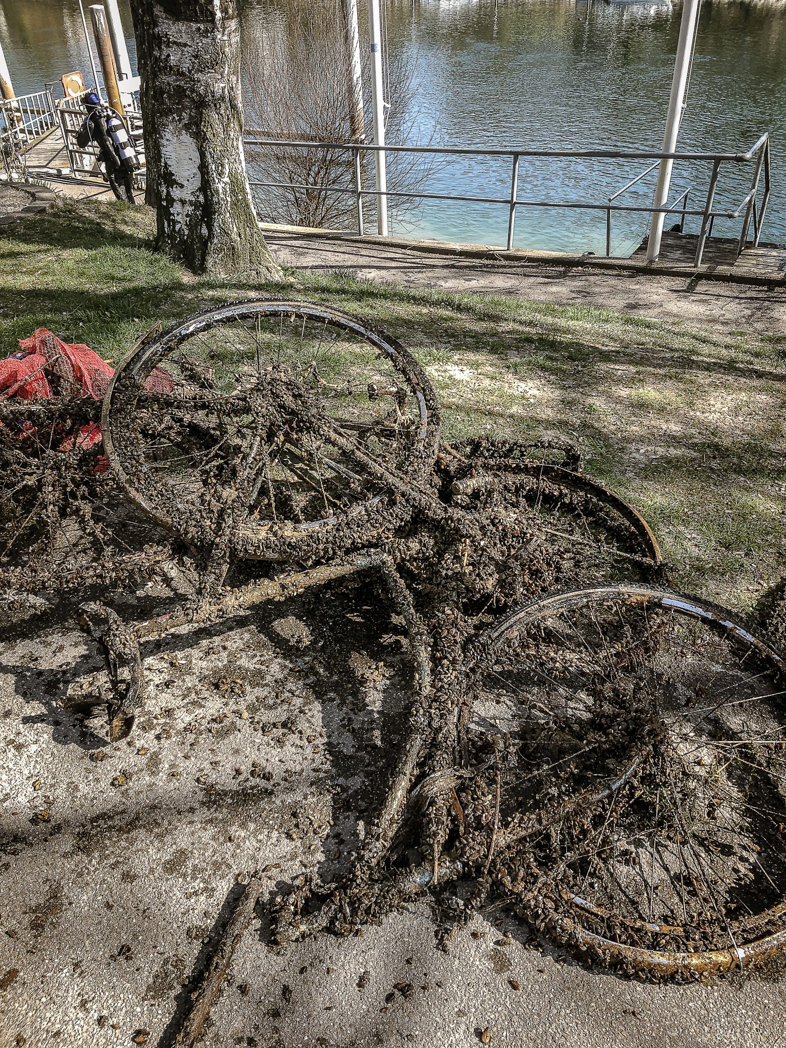 es ist eine gutes und sauberes fahrrad