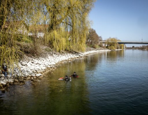 Abfalltaucher Schweiz